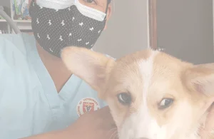 clínica veterinária